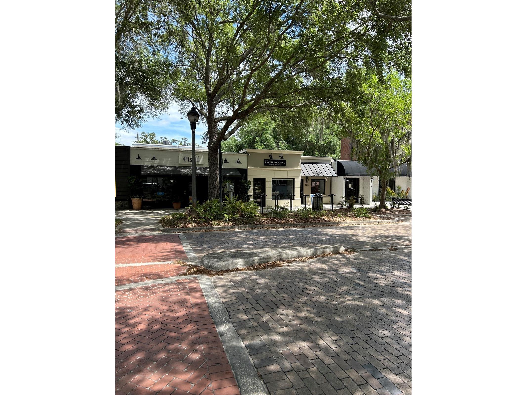 1002 Oakdale Street Windermere FL 34786 TB8495717 image58