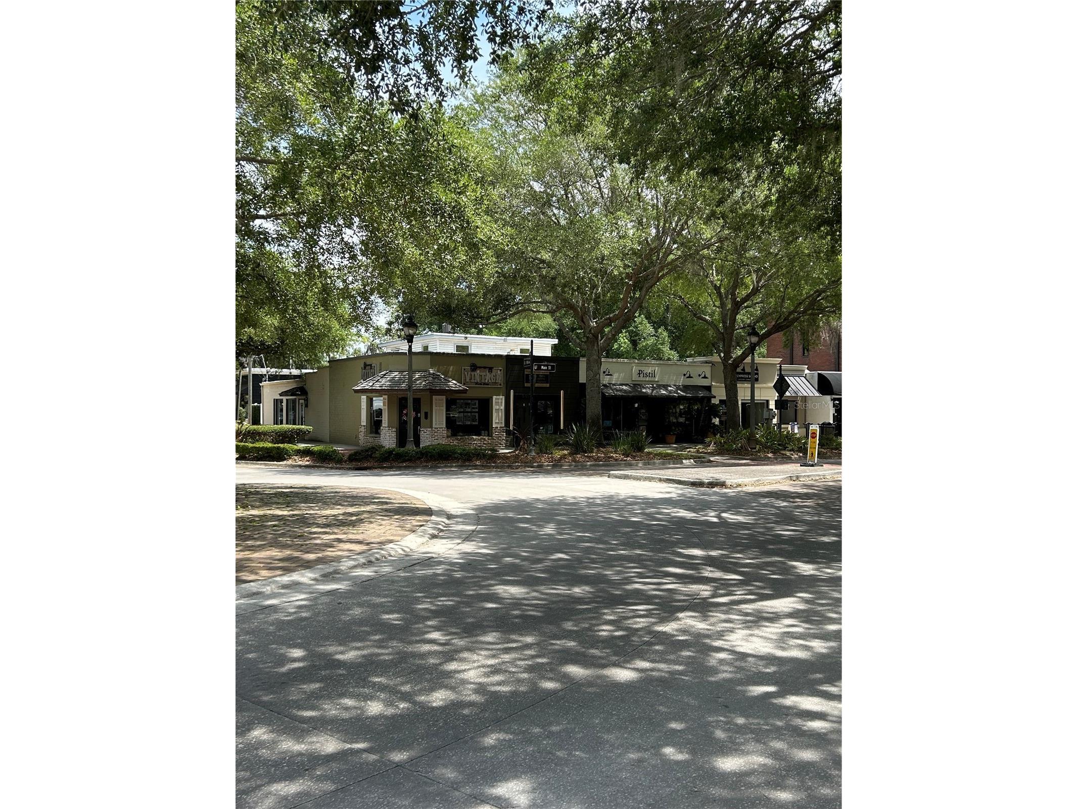 1002 Oakdale Street Windermere FL 34786 TB8495717 image59