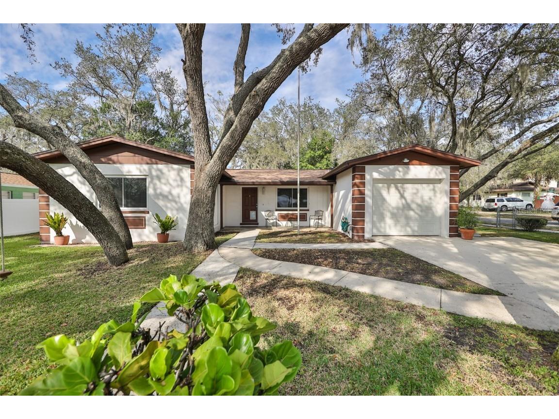 1002 Pinegrove Drive Brandon FL 33511 T3418609 image1