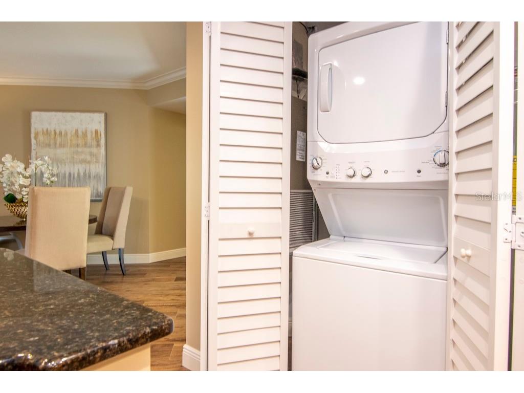 1002 S Harbour Island Boulevard #1302 Tampa FL 33602 TB8441963 image14