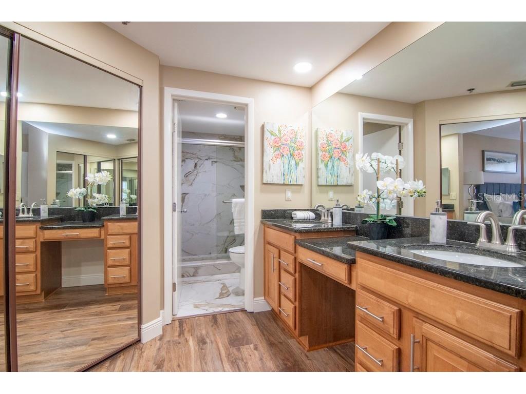 1002 S Harbour Island Boulevard #1302 Tampa FL 33602 TB8441963 image27