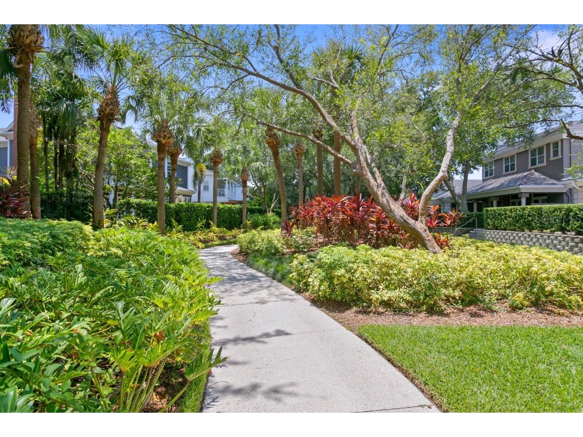 1002 S Harbour Island Boulevard #1302 Tampa FL 33602 TB8441963 image37