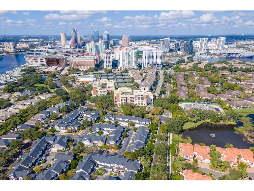 1002 S Harbour Island Boulevard #1302 Tampa FL 33602 TB8441963 image43