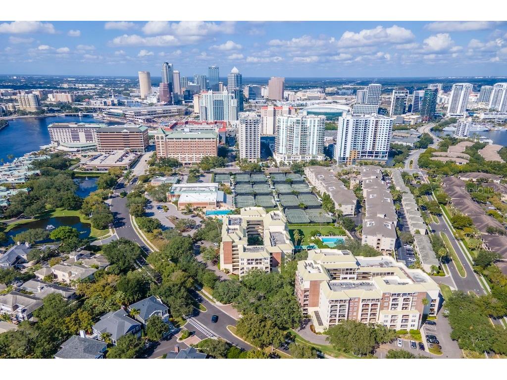 1002 S Harbour Island Boulevard #1302 Tampa FL 33602 TB8441963 image49