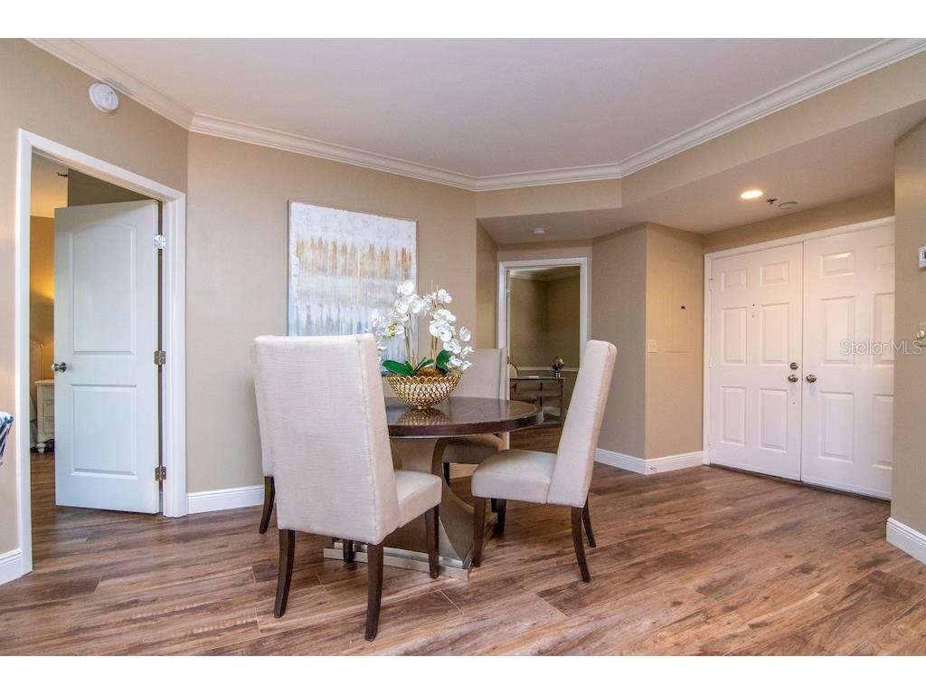 1002 S Harbour Island Boulevard #1302 Tampa FL 33602 TB8441963 image7