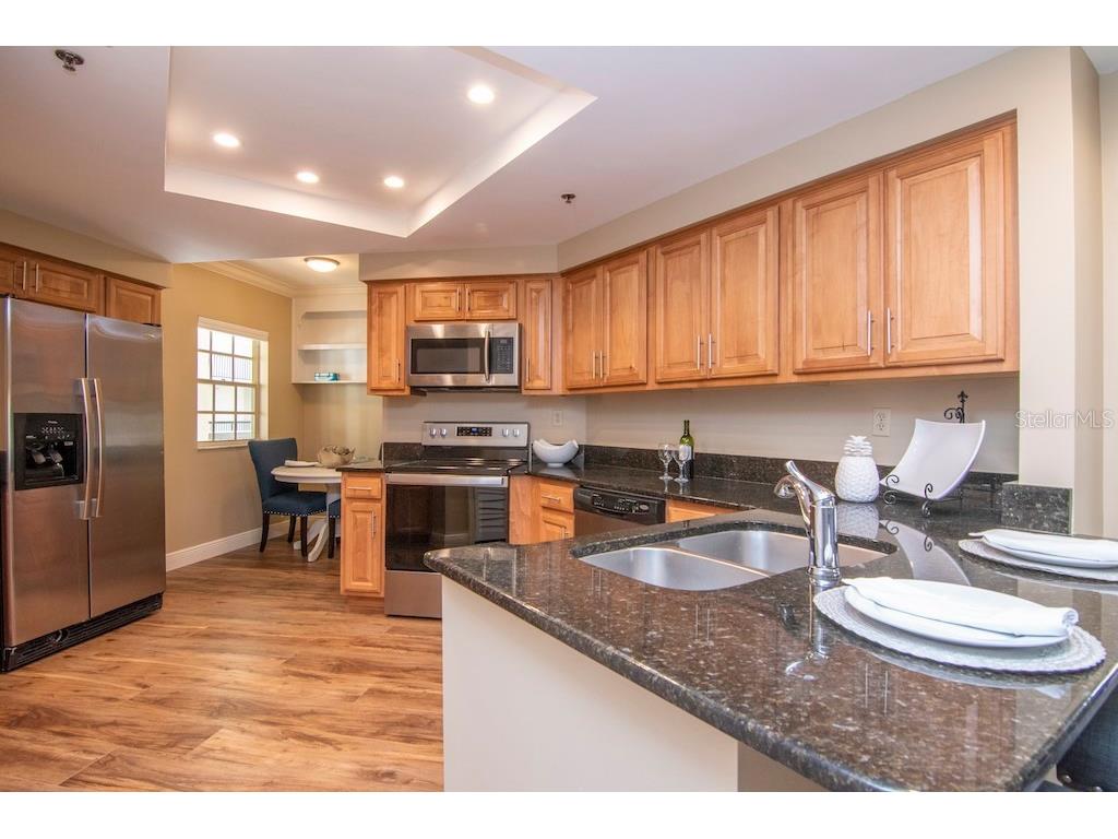 1002 S Harbour Island Boulevard #1302 Tampa FL 33602 TB8441963 image9