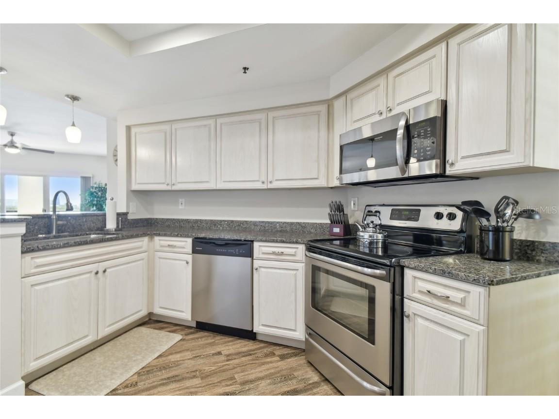 1002 S Harbour Island Boulevard #1507 Tampa FL 33602 TB8415488 image2