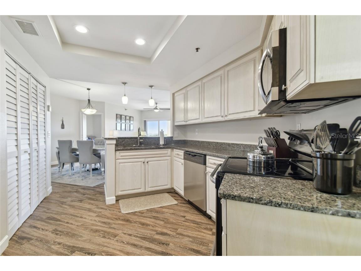 1002 S Harbour Island Boulevard #1507 Tampa FL 33602 TB8415488 image4