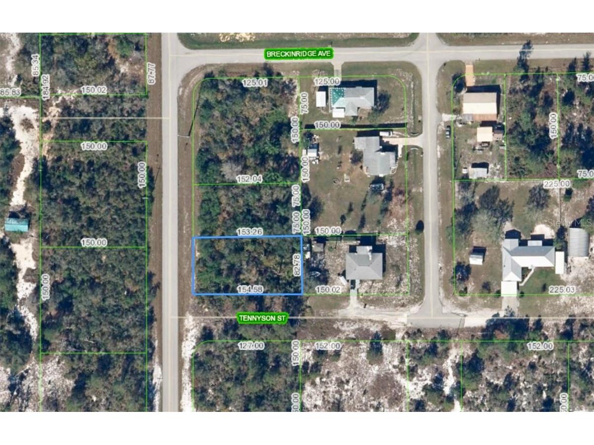 1002 Tennyson Street Lake Placid FL 33852 O6328765 image1