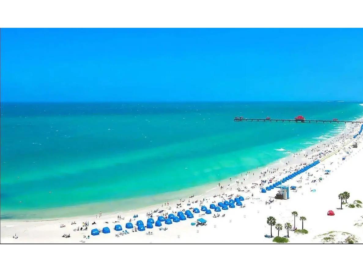 1002 Vine Avenue Clearwater FL 33755 A4676213 image2