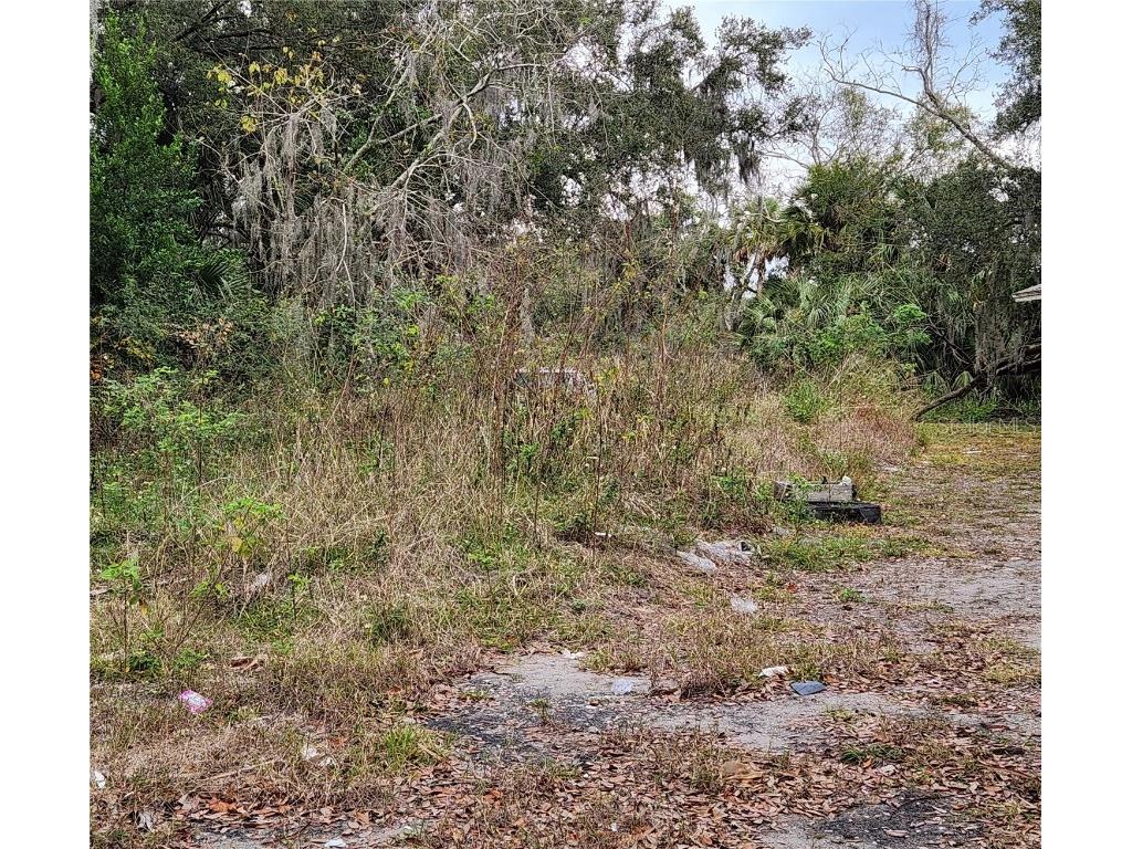 1002 W 8th Street Sanford FL 32771 O6170990 image1