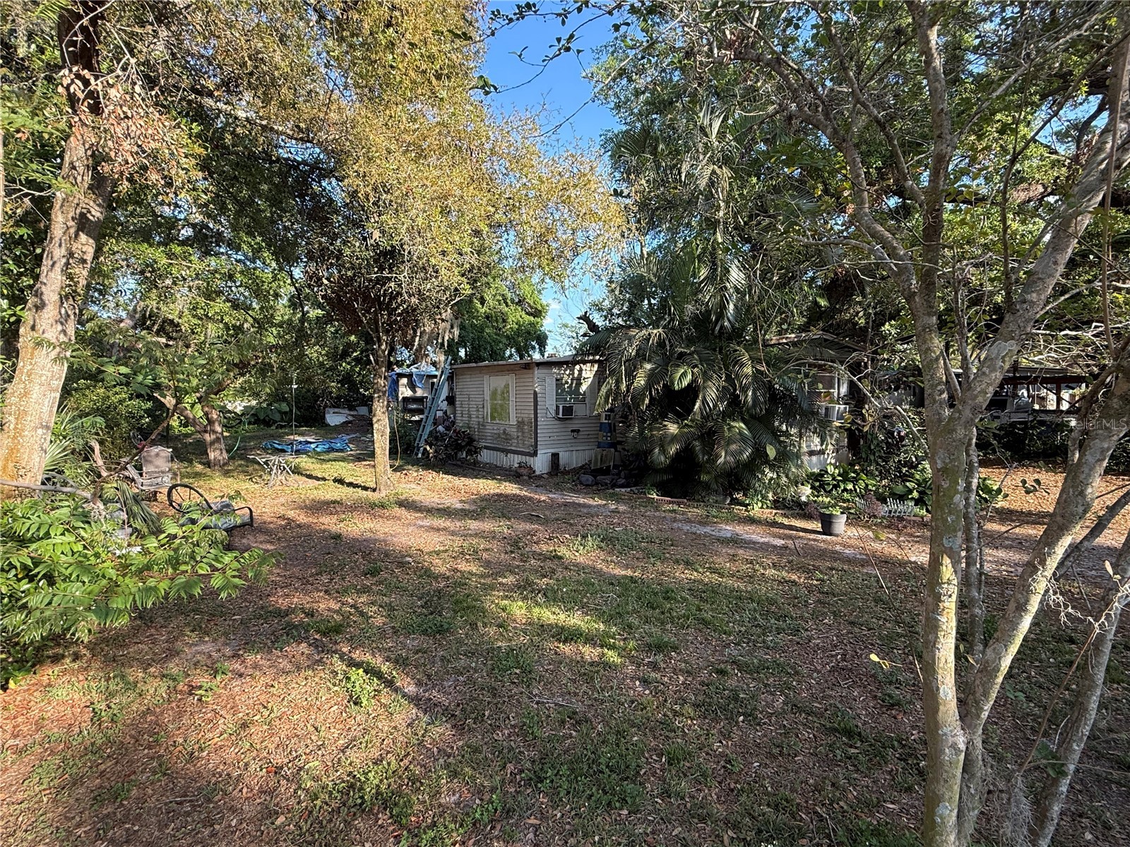 10020 Alavista Drive Gibsonton FL 33534 TB8480139 image5