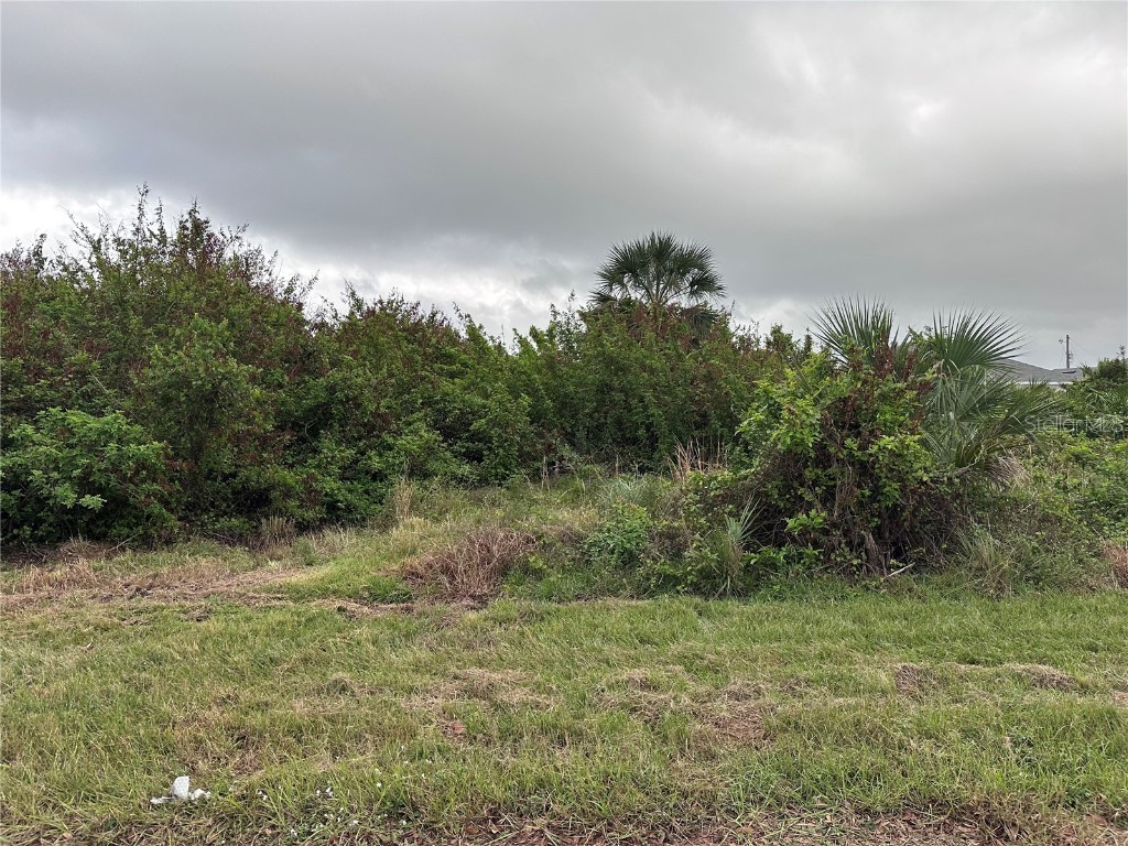 10020 Antrim St Port Charlotte FL 33981 C7500848 image1