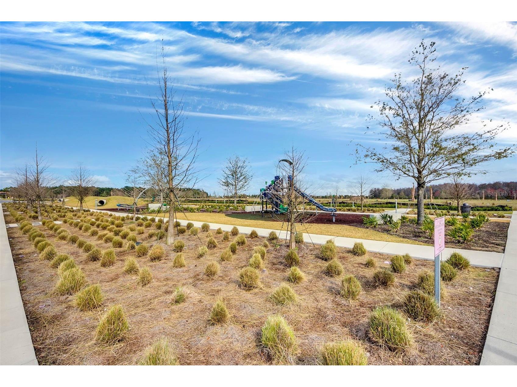 10020 Ballast Drive Orlando FL 32827 O6417959 image62
