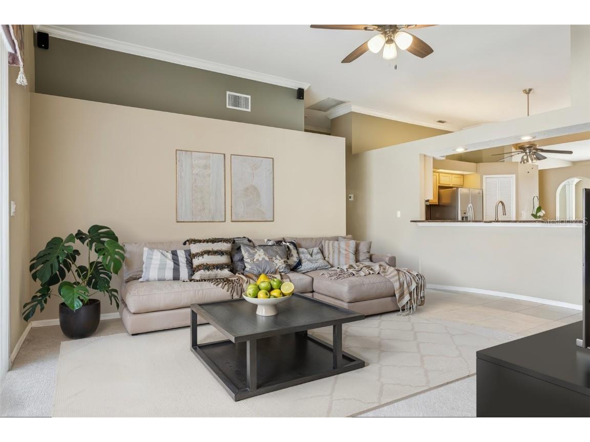 10020 Cypress Shadow Avenue Tampa FL 33647 TB8412493 image20