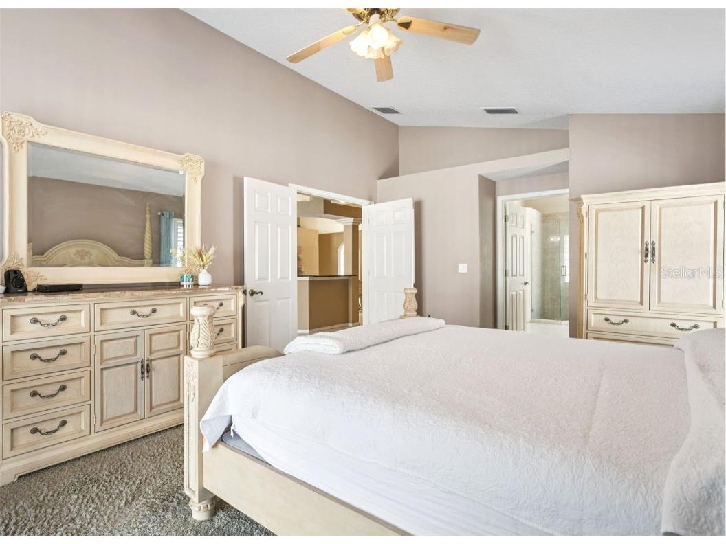 10020 Cypress Shadow Avenue Tampa FL 33647 TB8412493 image29