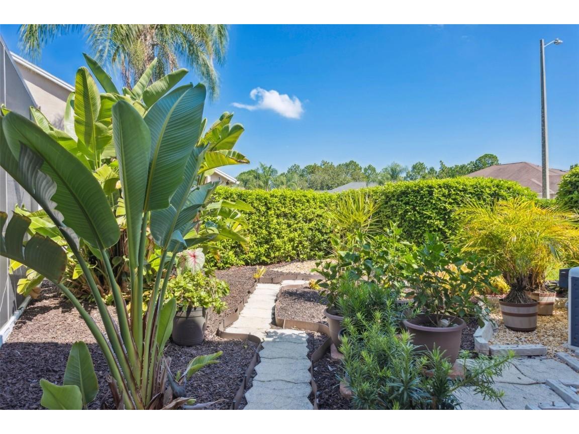 10020 Cypress Shadow Avenue Tampa FL 33647 TB8412493 image40