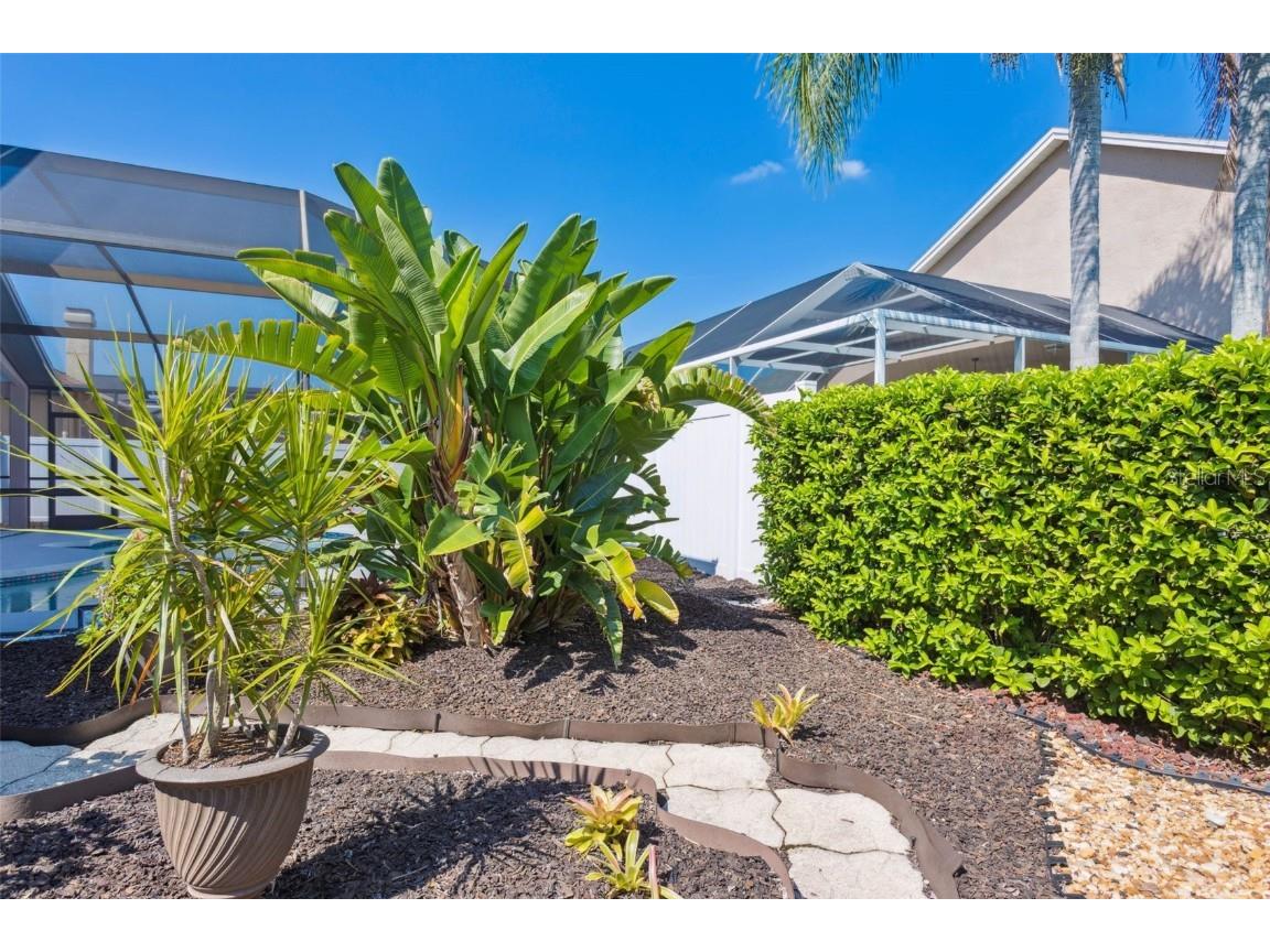 10020 Cypress Shadow Avenue Tampa FL 33647 TB8412493 image42