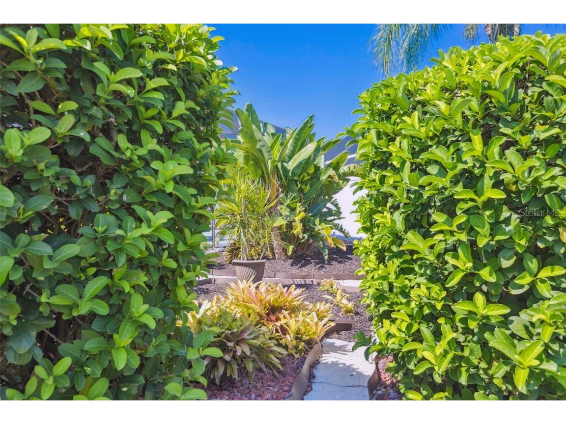 10020 Cypress Shadow Avenue Tampa FL 33647 TB8412493 image43