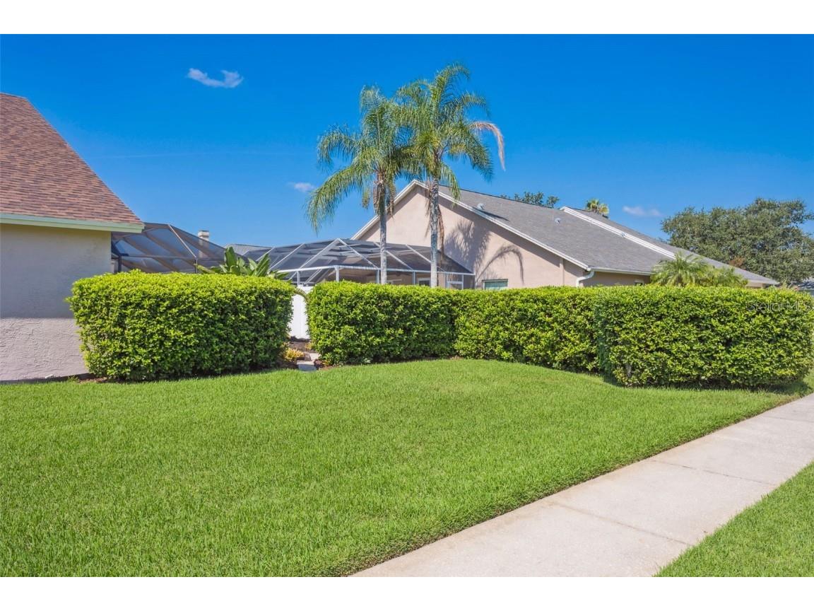 10020 Cypress Shadow Avenue Tampa FL 33647 TB8412493 image46