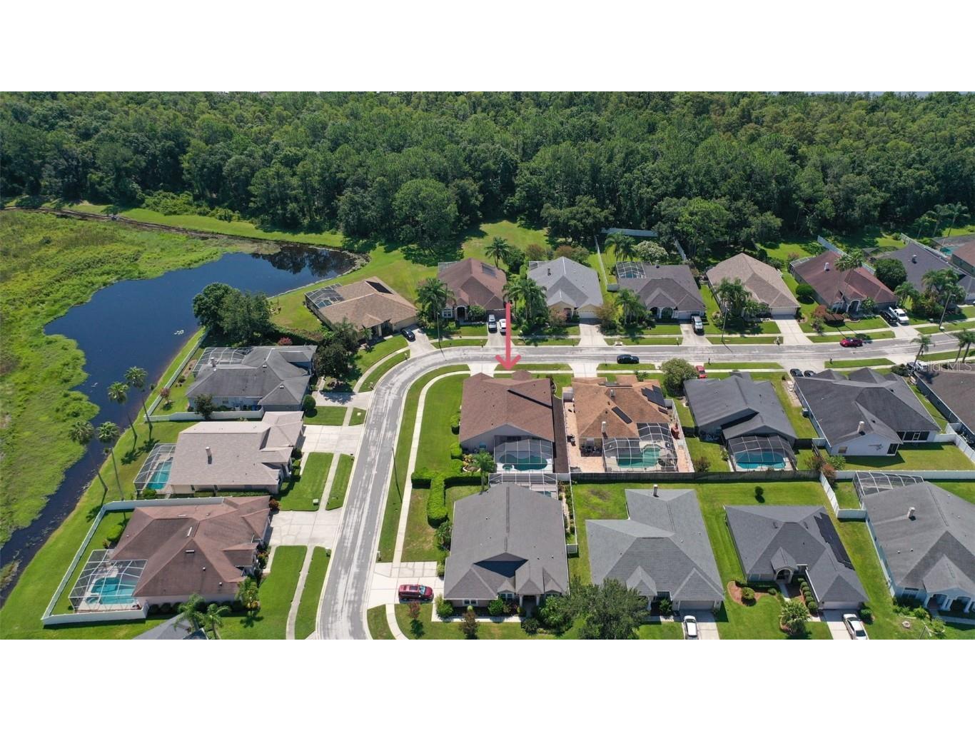 10020 Cypress Shadow Avenue Tampa FL 33647 TB8412493 image51