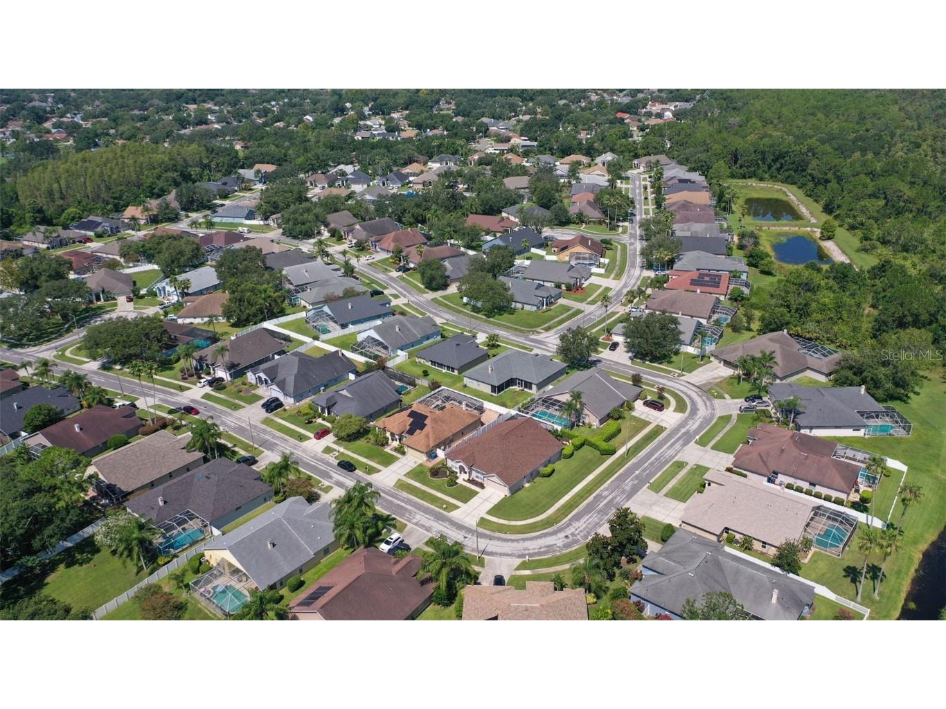 10020 Cypress Shadow Avenue Tampa FL 33647 TB8412493 image52