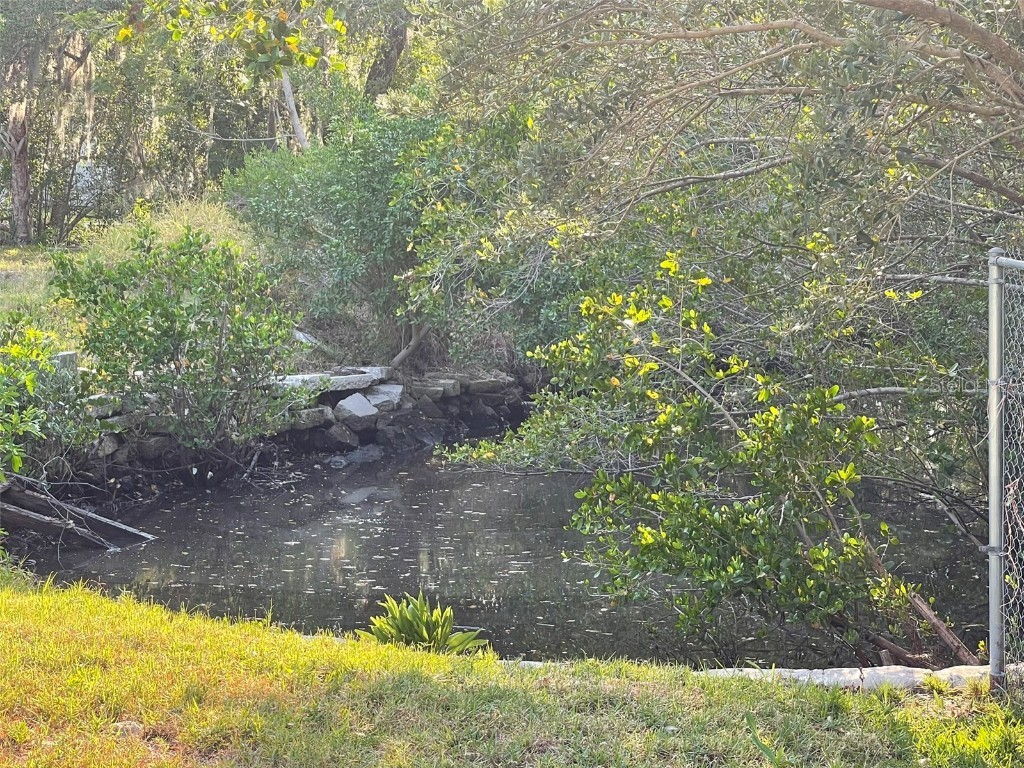 10020 Linda Street Gibsonton FL 33534 - ALAFIA RIVER T3496043 image10