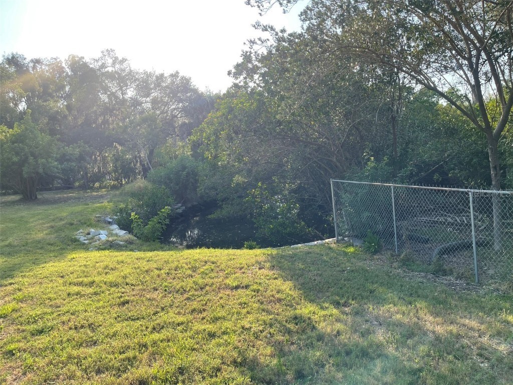 10020 Linda Street Gibsonton FL 33534 - ALAFIA RIVER T3496043 image11