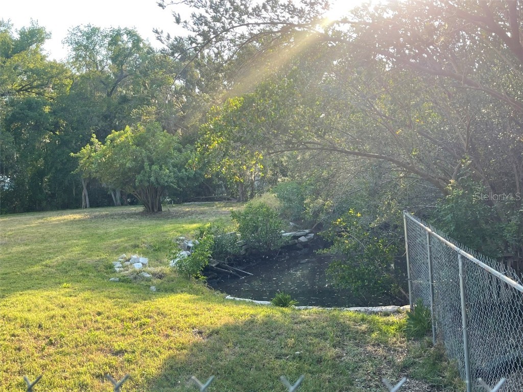 10020 Linda Street Gibsonton FL 33534 - ALAFIA RIVER T3496043 image12