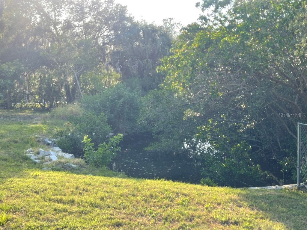 10020 Linda Street Gibsonton FL 33534 - ALAFIA RIVER T3496043 image13