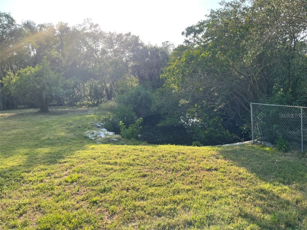 10020 Linda Street Gibsonton FL 33534 - ALAFIA RIVER T3496043 image14