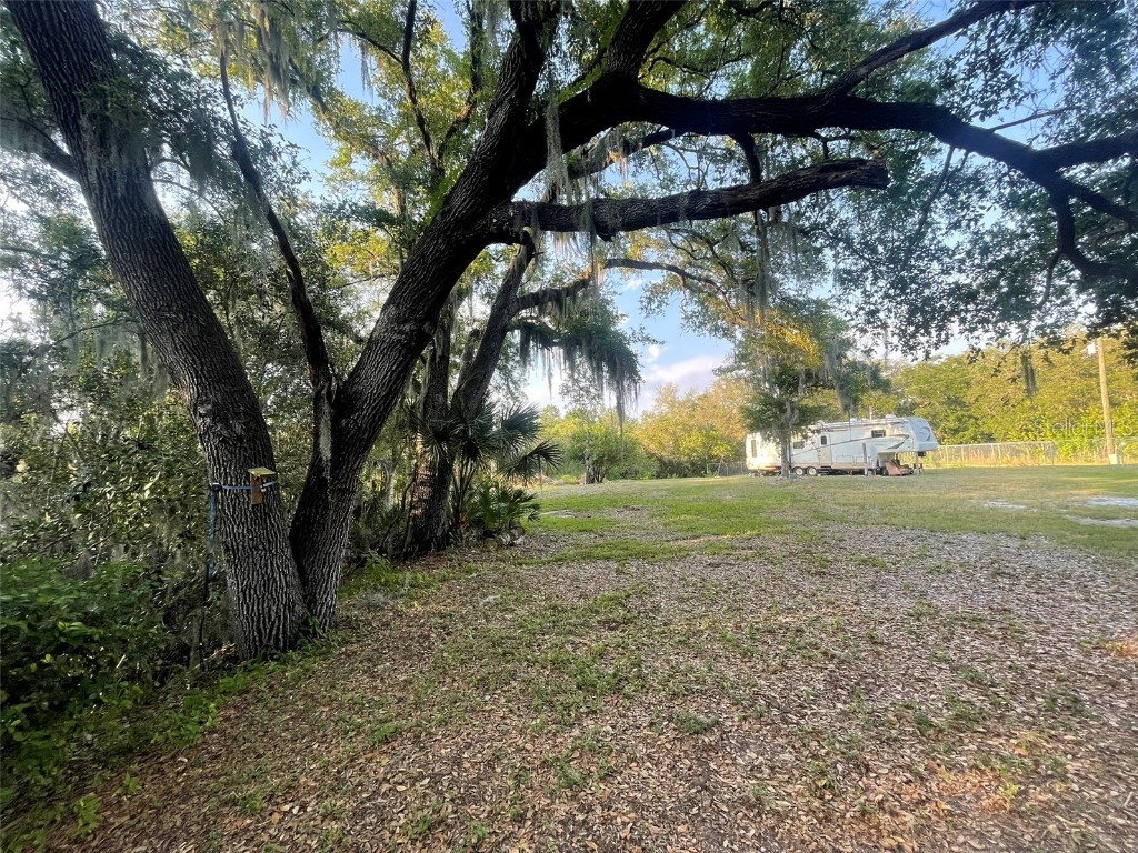 10020 Linda Street Gibsonton FL 33534 - ALAFIA RIVER T3496043 image24