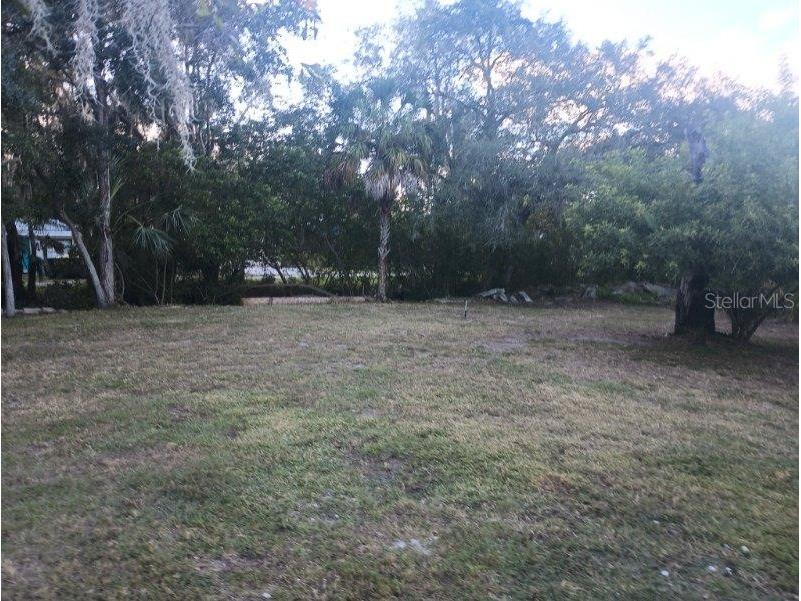 10020 Linda Street Gibsonton FL 33534 - ALAFIA RIVER T3496043 image27