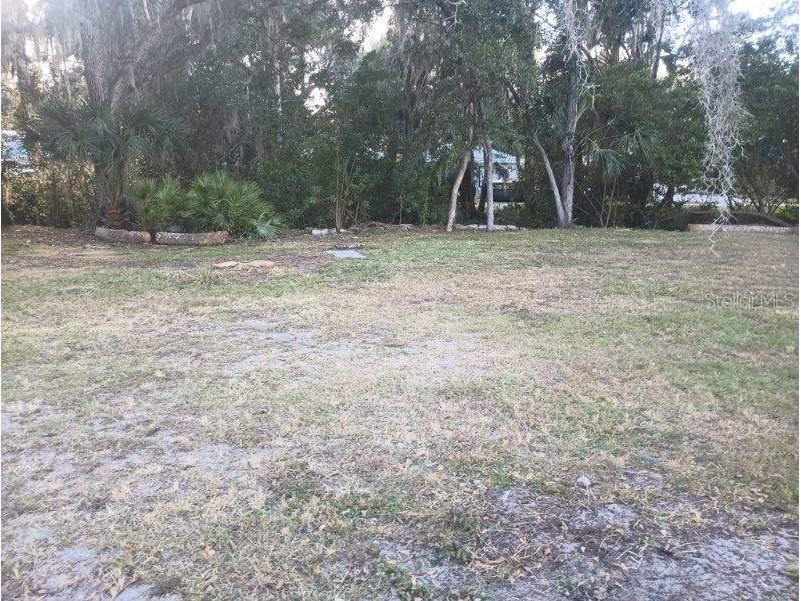 10020 Linda Street Gibsonton FL 33534 - ALAFIA RIVER T3496043 image28