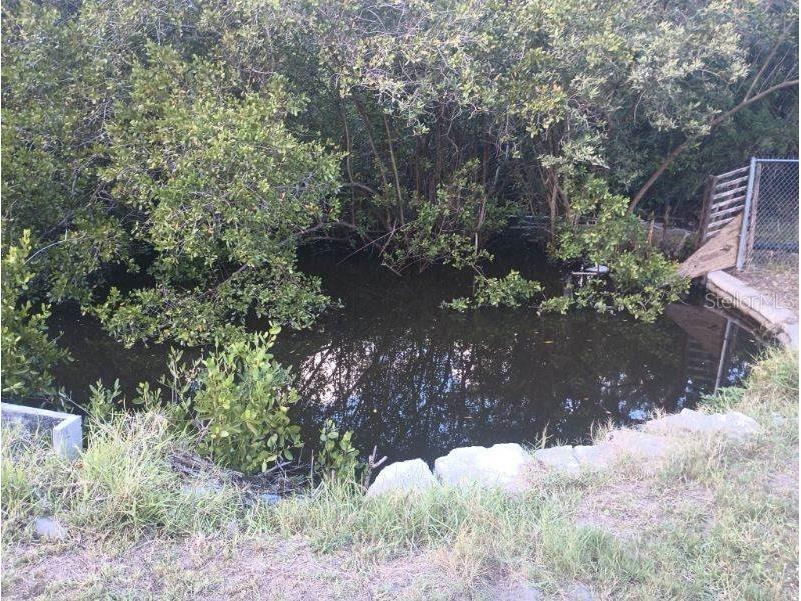 10020 Linda Street Gibsonton FL 33534 - ALAFIA RIVER T3496043 image31