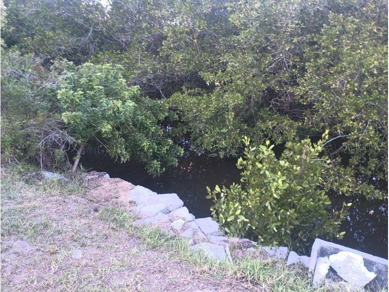 10020 Linda Street Gibsonton FL 33534 - ALAFIA RIVER T3496043 image33