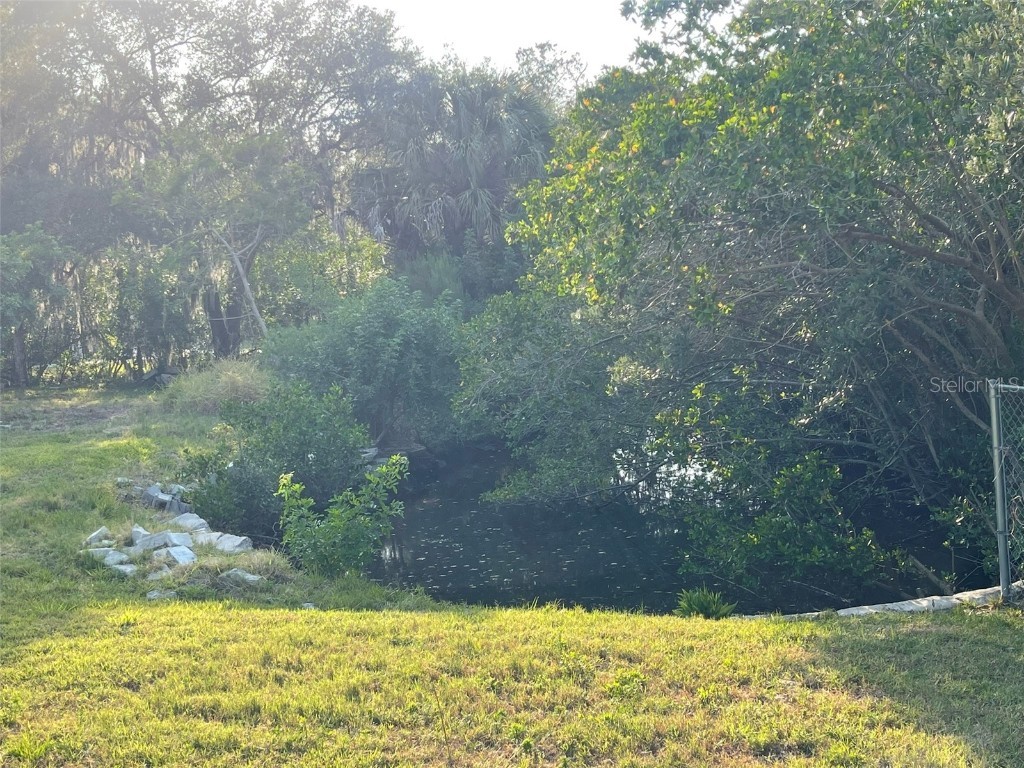 10020 Linda Street Gibsonton FL 33534 - ALAFIA RIVER T3496043 image4