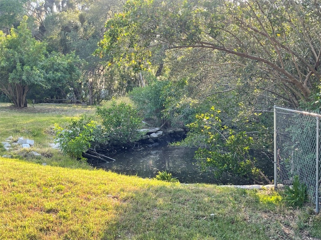 10020 Linda Street Gibsonton FL 33534 - ALAFIA RIVER T3496043 image9