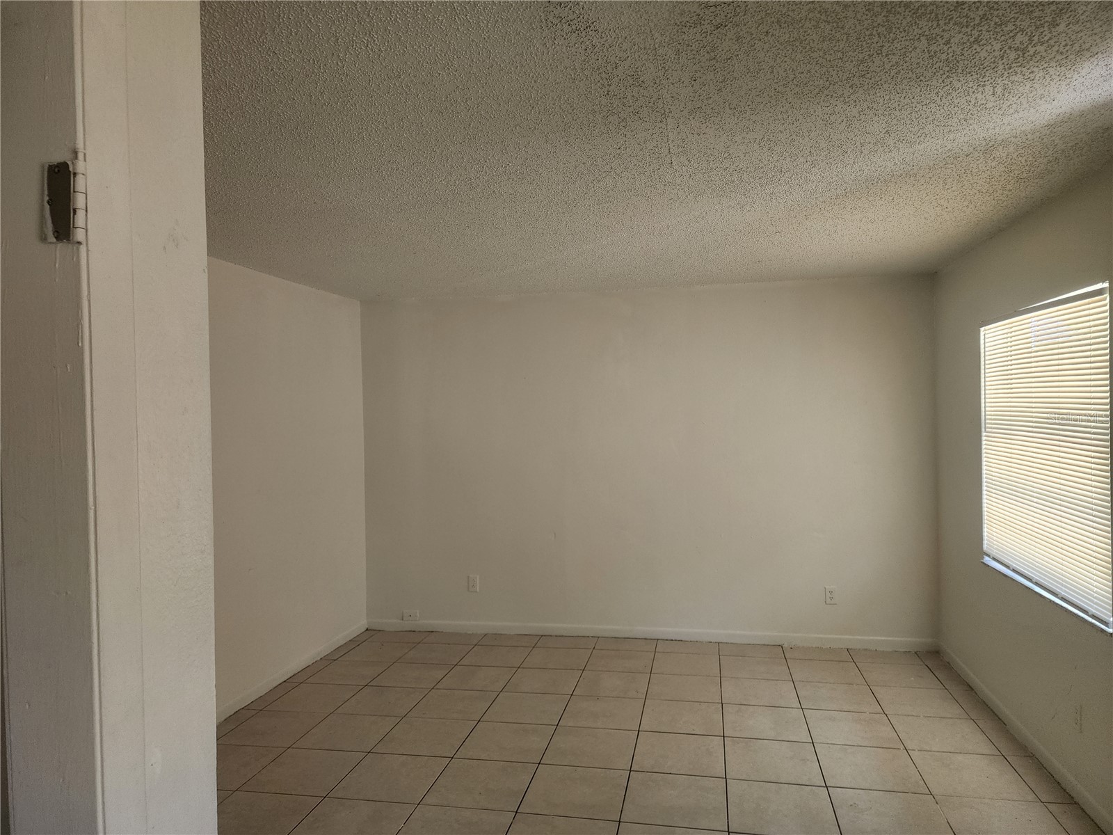 10020 N Hyacinth Avenue Tampa FL 33612 TB8527931 image3
