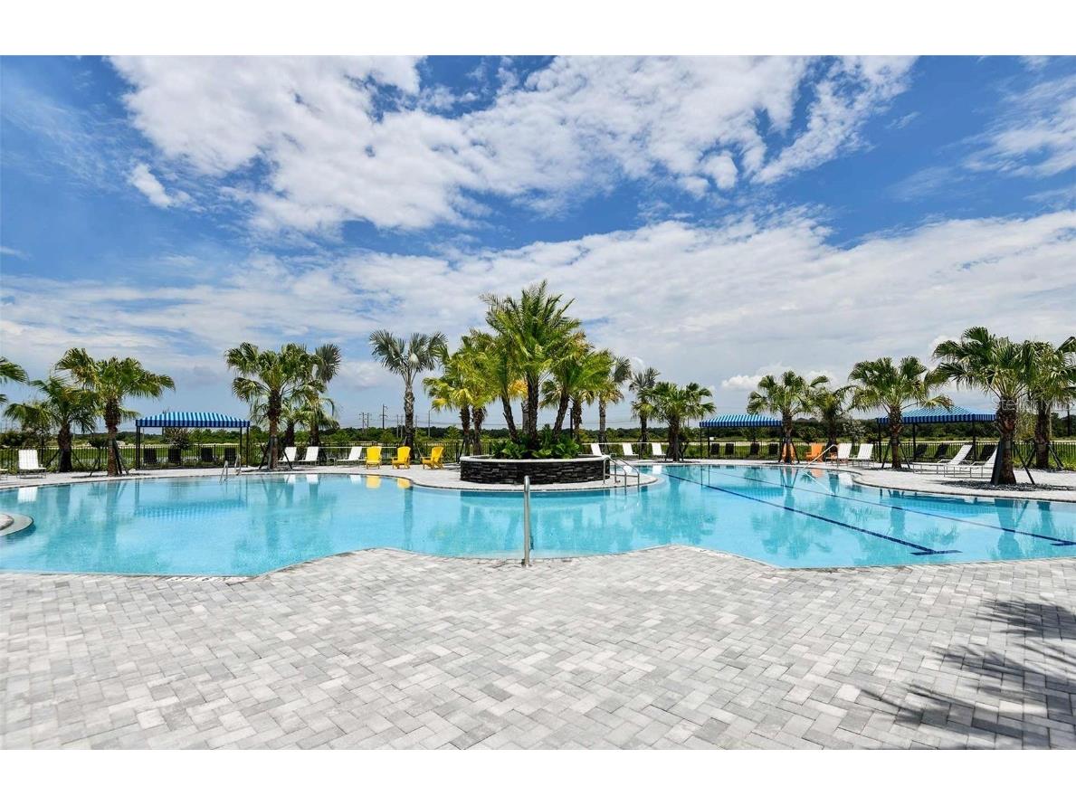 10020 Patterson Way Parrish FL 34219 T3504628 image21