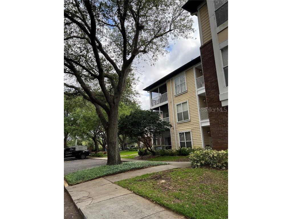10020 Strafford Oak Court #919 Tampa FL 33624 T3436843 image1