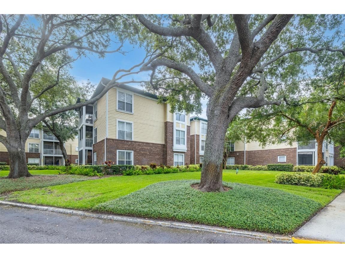 10020 Strafford Oak Court #921 Tampa FL 33624 A4660585 image1