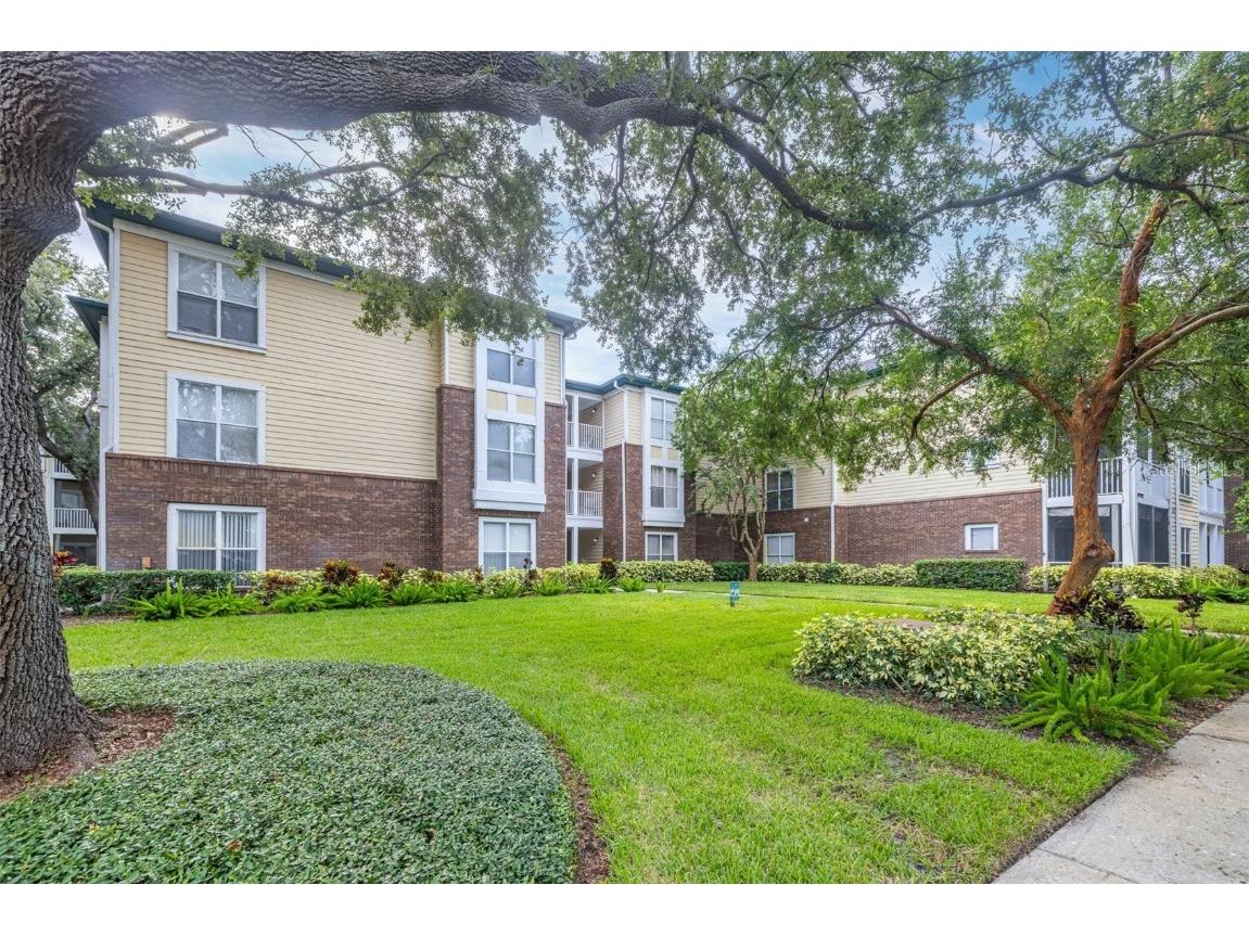 10020 Strafford Oak Court #921 Tampa FL 33624 A4660585 image2