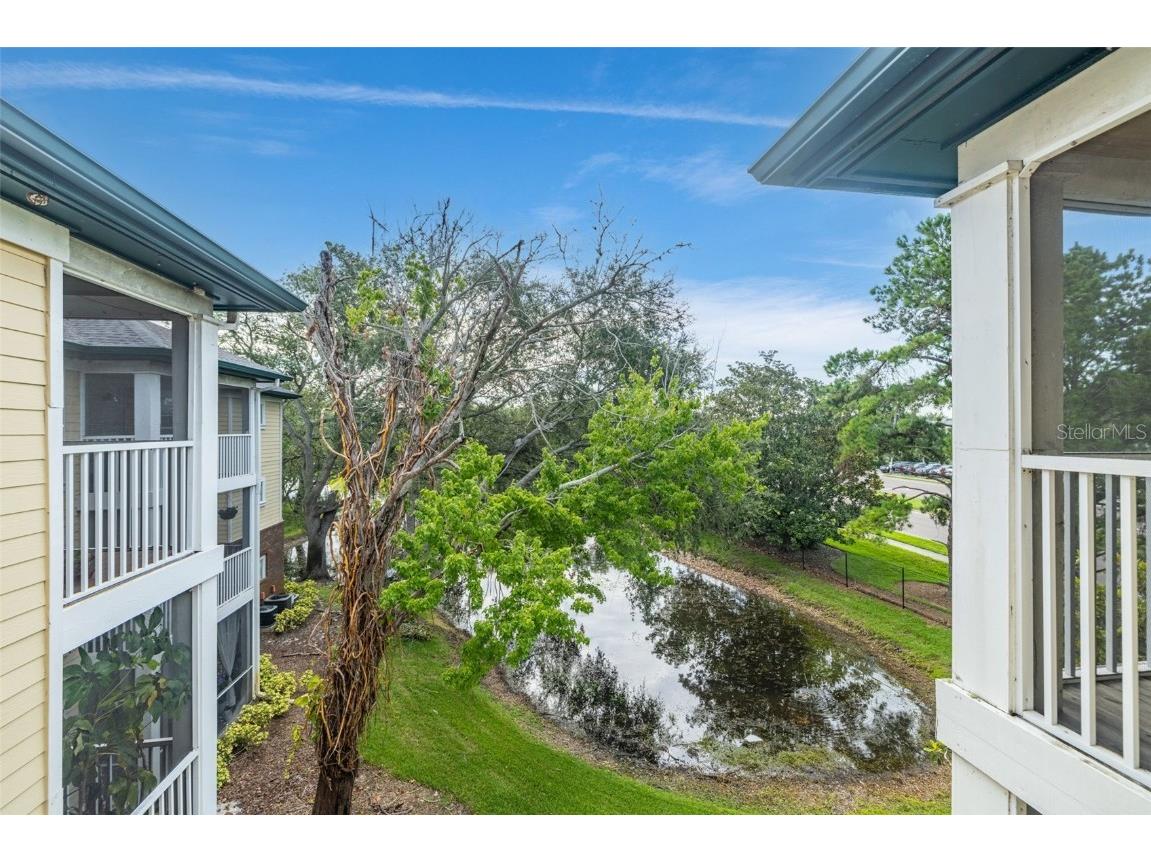 10020 Strafford Oak Court #921 Tampa FL 33624 A4660585 image22