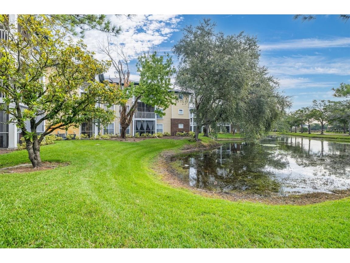 10020 Strafford Oak Court #921 Tampa FL 33624 A4660585 image23