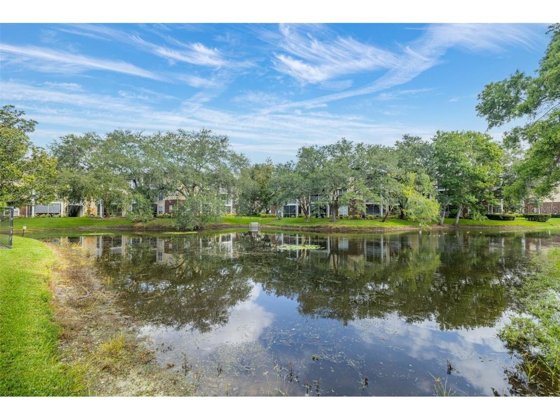 10020 Strafford Oak Court #921 Tampa FL 33624 A4660585 image25