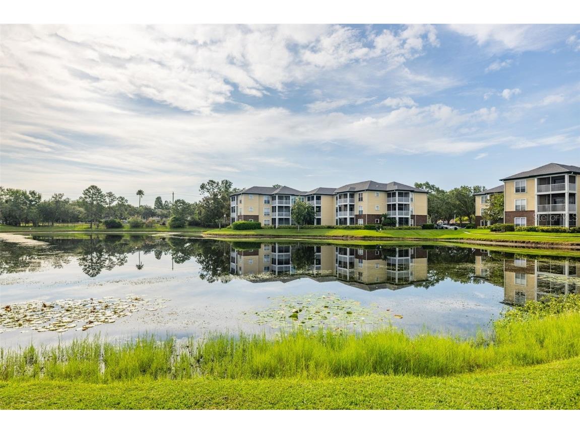 10020 Strafford Oak Court #921 Tampa FL 33624 A4660585 image29