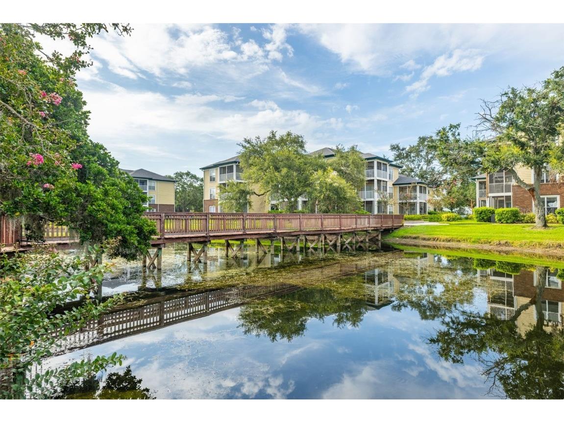 10020 Strafford Oak Court #921 Tampa FL 33624 A4660585 image30