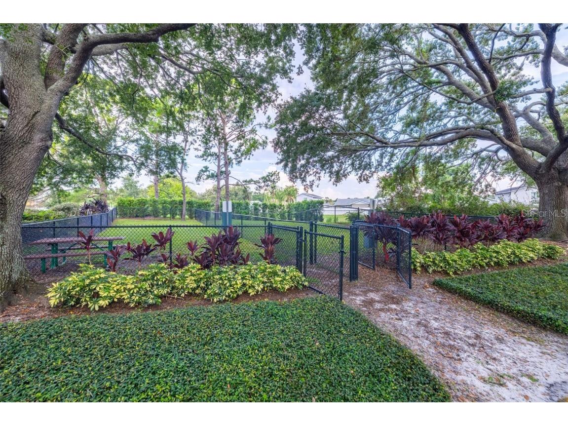 10020 Strafford Oak Court #921 Tampa FL 33624 A4660585 image34