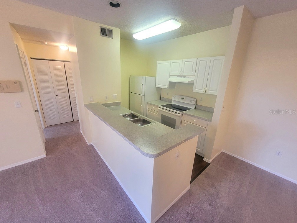 10020 Strafford Oak Court #923 Tampa FL 33624 W7887362 image10